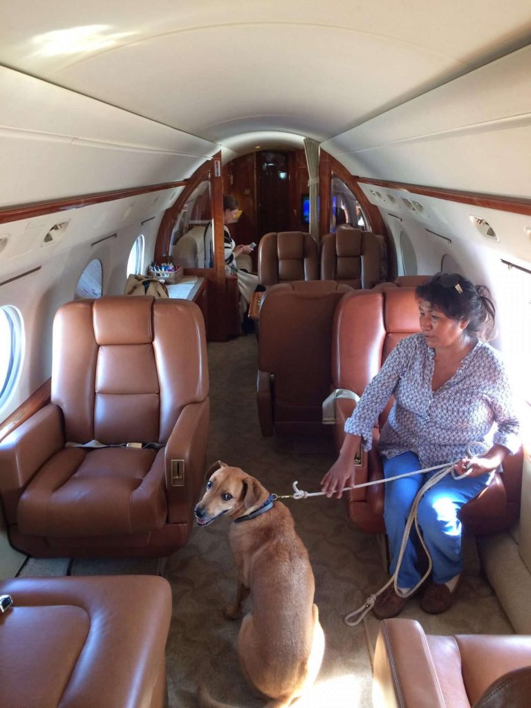 Can I Bring My Pet With Me On The Private Jet?